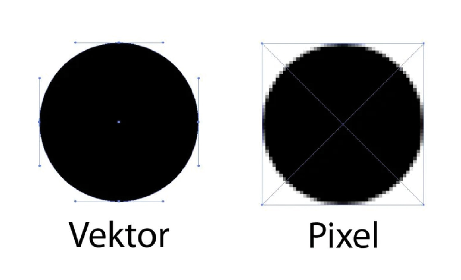 pixel und vektor